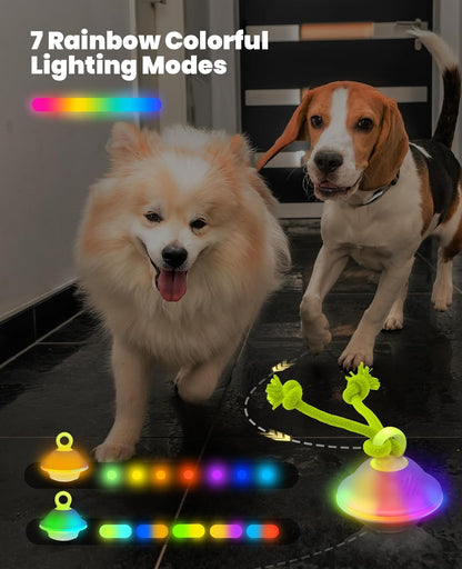Smart Interactive Dog Toys, Automatic Moving and Rolling Dogs Ball with Rope, Motion-Activated Wicked Ball for Small Medium Dogs for Boredom, RGB Lights, stimulating Sound, Voice Recording