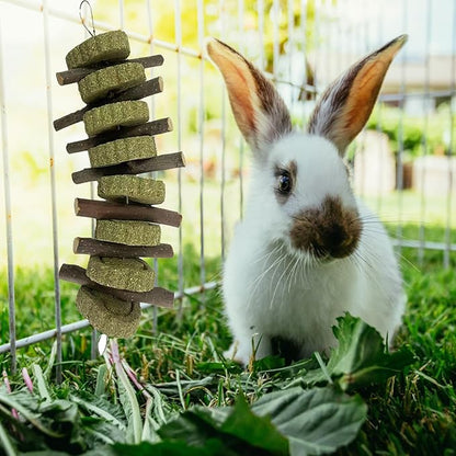 kathson Rabbit Chew Toys,Bunny Grind Teeth 100% Natural Organic Apple Wood Stick Improve Rodent Health Rabbits Hamsters Squirrel Guinea Pig(4 Pieces)