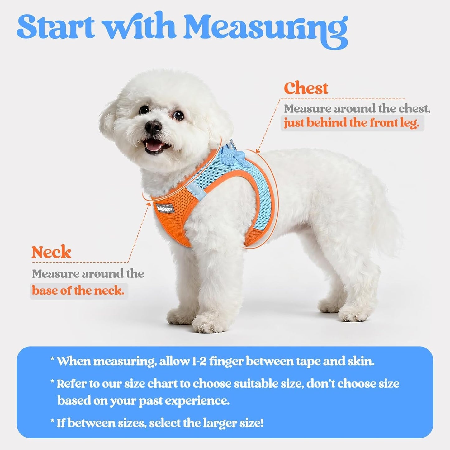 rabbitgoo Dog Harness Small Medium Sized and Leash Set, Step in Soft Light Puppy Vest, Breathable Mesh Pet Harness, Reflective for Safe Easy Walking, Blue & Orange XL