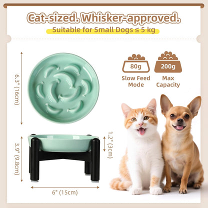 Elevated Slow Feeder Cat Bowl - Ceramic Cat Food Dish with Anti-Slip Stainless Steel Stand - Raised Maze Plate for Slow Eating - Mint Green