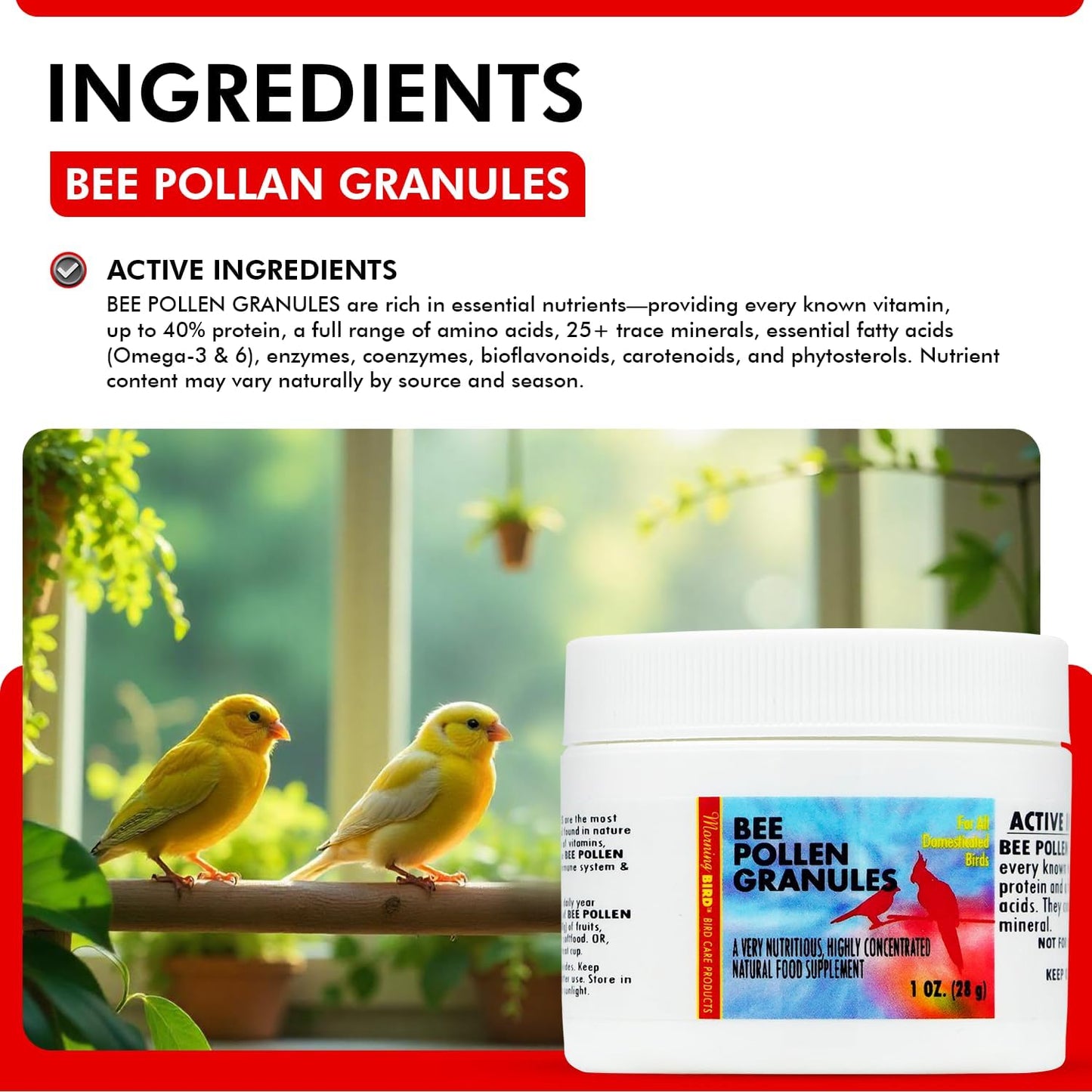 Morning Bird Bee Pollen Granules 1 Oz – Naturally Immune Support & Protein Powder for Birds – Boosts Strength, Feather Health & Energy Supplements – Easy to Mix with Food for All Bird Types