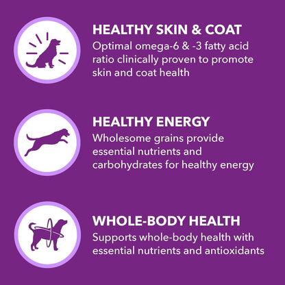 IAMS Advanced Health Skin & Coat Adult Dry Dog Food Chicken and Salmon Recipe, 6 lb. Bag