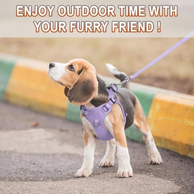 Dog Harness Step in Dog Vest Harness, Reflective Adjustable Puppy No Pull Harness Breathable Soft for Small and Medium Dogs Cats, Violet Purple, S