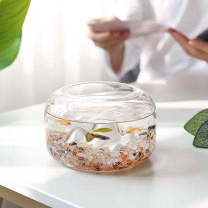 T4U Crystal Chips Stone Crushed Quartz Glass 1LB - Carnelian Tumbled Gravel Small Decorative Pebbles Bulk, Mini Polished Rocks Pieces for Crafts, Vases Filler, Succulent Plants, Aquarium Gravel Rocks