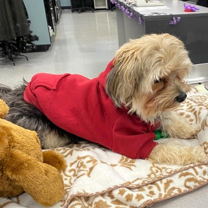 Jecikelon Winter Dog Hoodie Sweatshirts with Pockets Warm Dog Clothes for Small Dogs Chihuahua Coat Clothing Puppy Cat Custume (Wine red, X-Large)