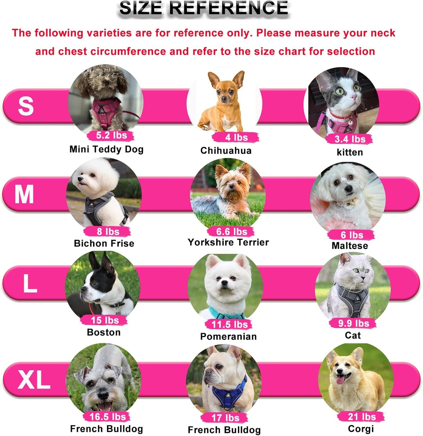 SOLMOONY Small Dog Harness,Soft Mesh Puppy Harness and Leash Set,No Escape Cat Harnesses for Training Walking,Reflective Adjustable Puppy Vest for Small Medium Dogs, Cats (Grey, S)