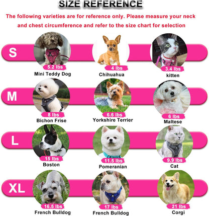 SOLMOONY Small Dog Harness,Soft Mesh Puppy Harness and Leash Set,No Escape Cat Harnesses for Training Walking,Reflective Adjustable Puppy Vest for Small Medium Dogs, Cats (Grey, S)