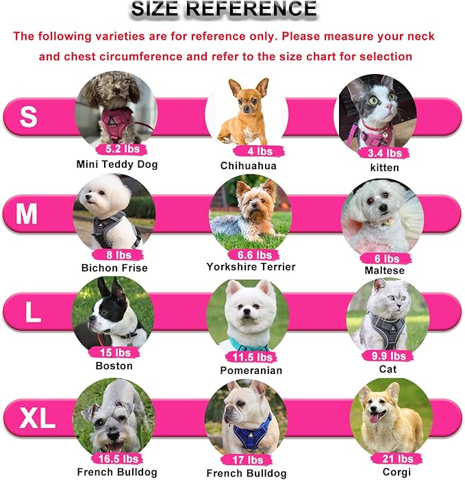 SOLMOONY Small Dog Harness,Soft Mesh Puppy Harness and Leash Set,No Escape Cat Harnesses for Training Walking,Reflective Adjustable Puppy Vest for Small Medium Dogs, Cats (Turquoise, L)