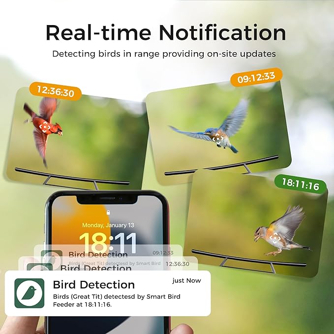 Bird Feeder with Camera, BBPECO Smart Bird House Cam with Instant Arrival Alerts, AI Identifies 10,000+ Species & Free Cloud Video, Suitable for Birdwatching (Powered by Birdty App)