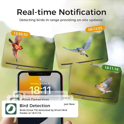 Bird Feeder with Camera, BBPECO Smart Bird House Cam with Instant Arrival Alerts, AI Identifies 10,000+ Species & Free Cloud Video, Suitable for Birdwatching (Powered by Birdty App)