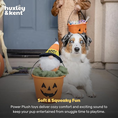 Huxley & Kent Halloween Funny Dog Toy w/Squeaker – Power Plush Squeaky Dog Toys for Small, Medium & Large Dogs – Soft Stuffed Animal for Indoor Play & Fetch - Candy Corn Gnome, One Size