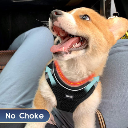 YIMEIS Dog Harness and Leash Set, No Pull Soft Mesh Pet Harness, Reflective Adjustable Puppy Vest for Small Medium Large Dogs, Cats (Black-Update, Small (Pack of 1))