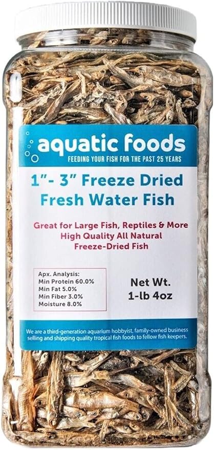 Aquatic Foods Inc. 1"- 3" Fresh Water Freeze Dried Fish for Piranha, Large Fish, Turtles, Cats, Sugar Glider, Marmosets, Chinchillas, Squirrels, Hamsters…1-lb & 4oz Lg Jar