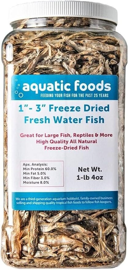 Aquatic Foods Inc. 1"- 3" Fresh Water Freeze Dried Fish for Piranha, Large Fish, Turtles, Cats, Sugar Glider, Marmosets, Chinchillas, Squirrels, Hamsters…1-lb & 4oz Lg Jar