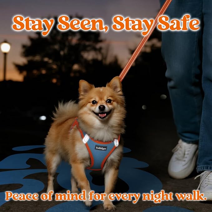 rabbitgoo Dog Harness Small Sized and Leash Set, Step-in Breathable Pet Harness, Soft Walking Reflective Puppy Vest for Small Dogs, Light Blue & Orange, XS