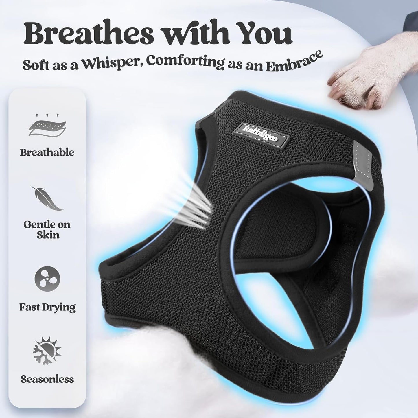 rabbitgoo Dog Harness Small Medium Sized and Leash Set, Step in Soft Light Puppy Vest, Breathable Mesh Pet Harness, Reflective for Safe Easy Walking, Black L