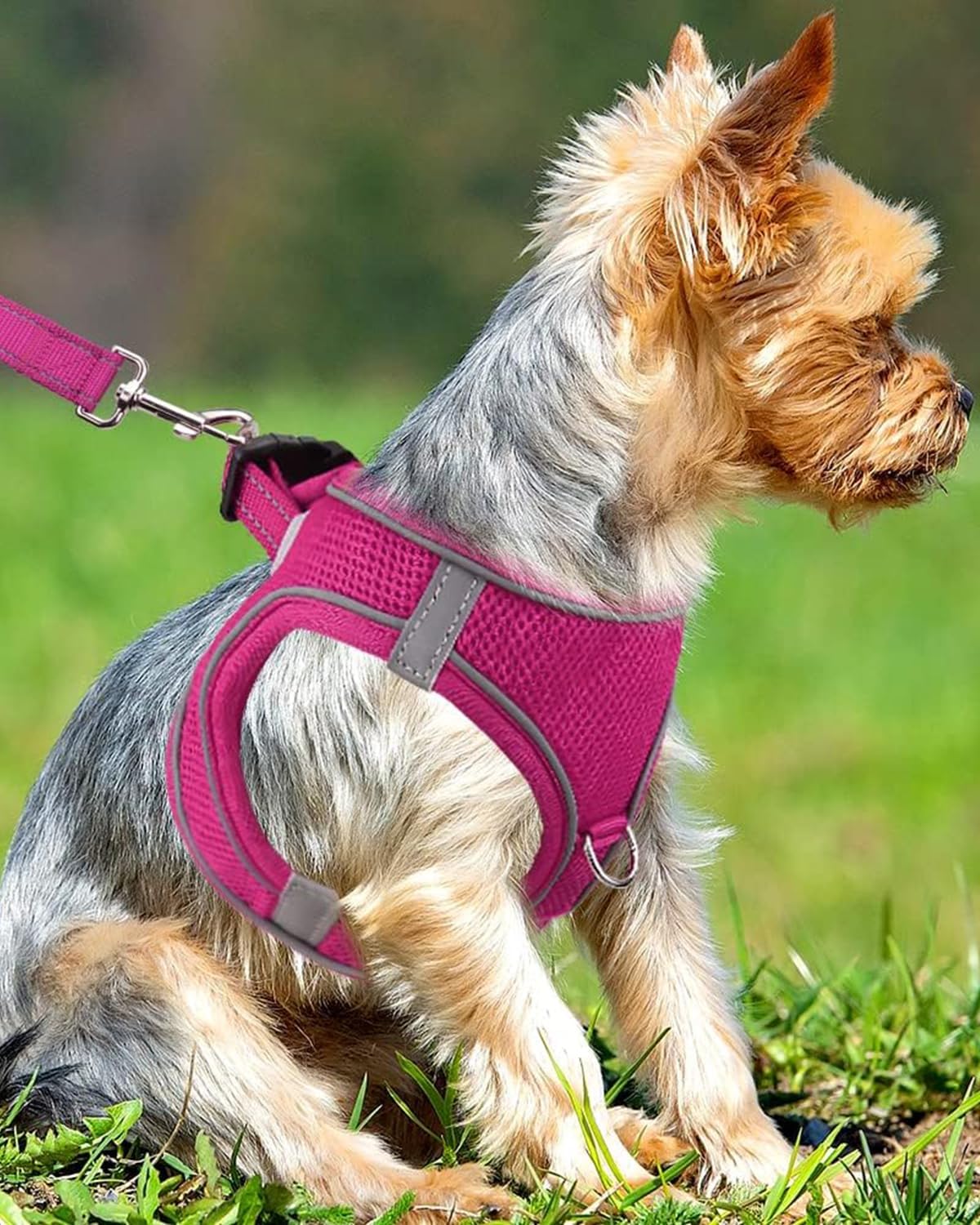 Joytale Small Dog Harness, Breathable Mesh Step-in Vest, Reflective Soft Padded Harnesses Small Sized Dog for Walking, Hot Pink, S