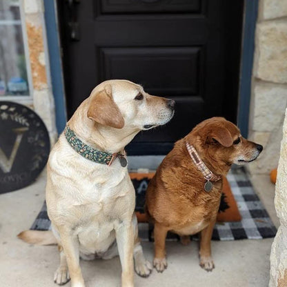 Elegant little tail Fall Dog Collar, Autumn Pet Collar Durable Yellow Plaid Dog Collars Male or Female Holiday Pet Gift Adjustable Dog Collar for Medium Dogs