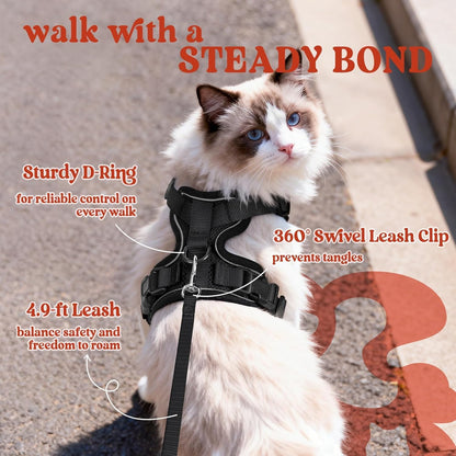 rabbitgoo Cat Harness and Leash for Walking, Escape Proof Soft Adjustable Vest Harnesses for Cats, Easy Control Breathable Reflective Strips Jacket, Black, M