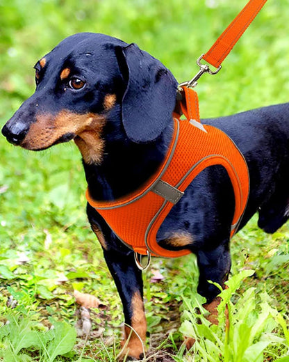 Joytale Small Dog Harness, Breathable Mesh Step-in Vest, Reflective Soft Padded Harnesses for Small and Medium Dogs, Orange, M