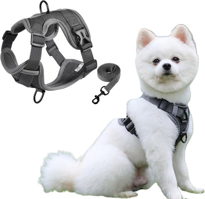 SOLMOONY Small Dog Harness,Soft Mesh Puppy Harness and Leash Set,No Escape Cat Harnesses for Training Walking,Reflective Adjustable Puppy Vest for Small Medium Dogs, Cats (Grey, S)