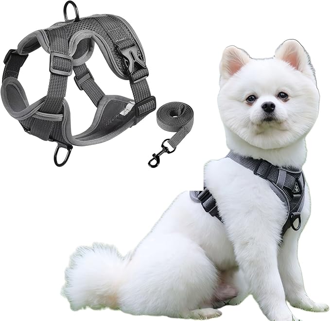 SOLMOONY Small Dog Harness,Soft Mesh Puppy Harness and Leash Set,No Escape Cat Harnesses for Training Walking,Reflective Adjustable Puppy Vest for Small Medium Dogs, Cats (Grey, L)