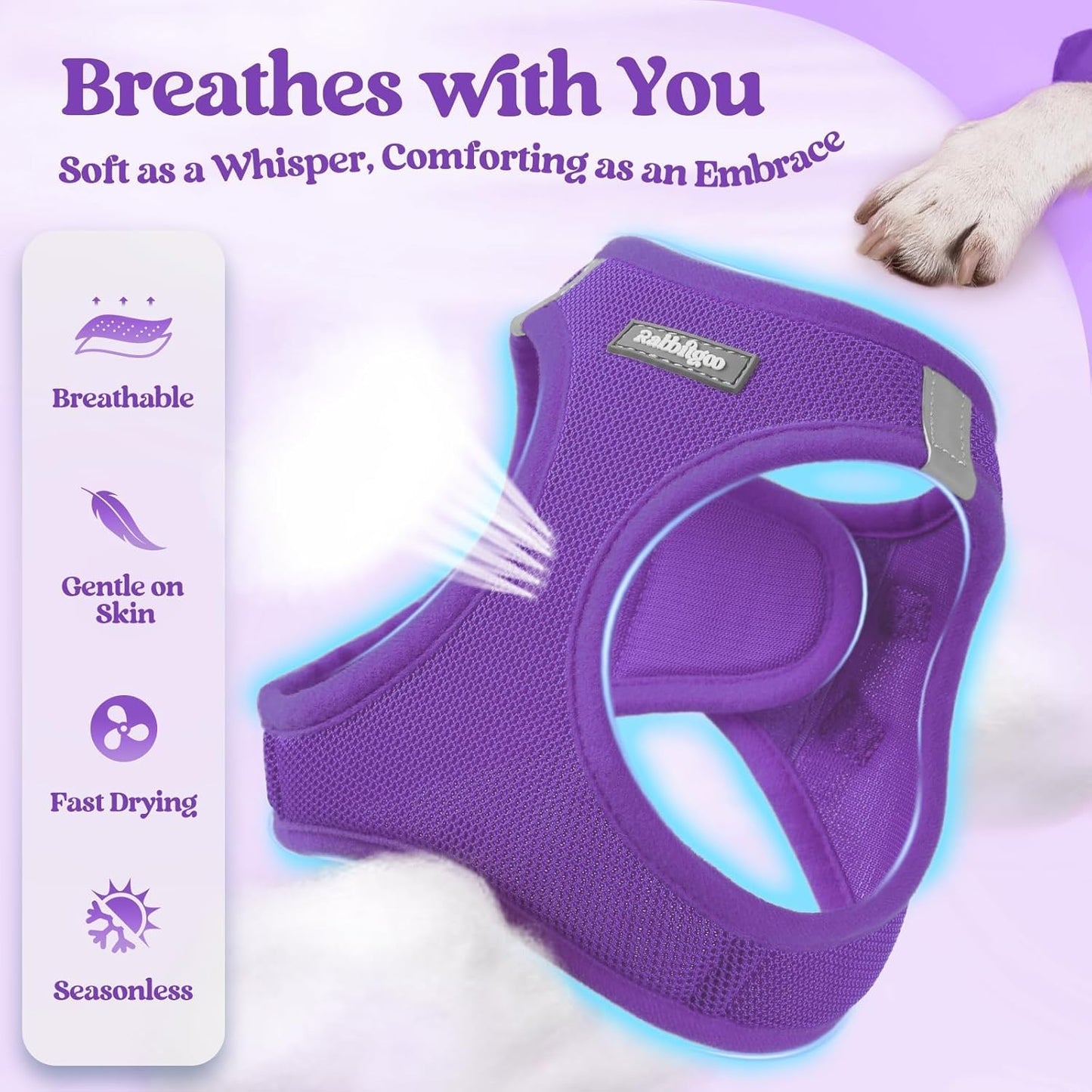 rabbitgoo Dog Harness Small Medium Sized and Leash Set, Step in Soft Light Puppy Vest, Breathable Mesh Pet Harness, Reflective for Safe Outdoor Walking, Purple L