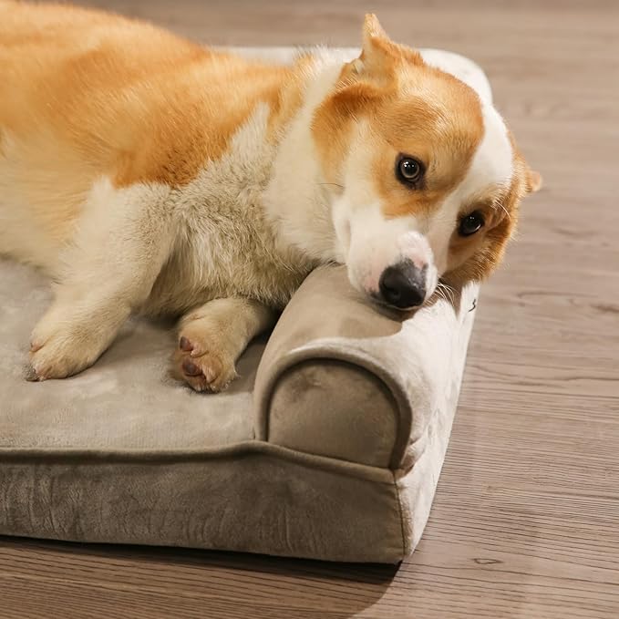 Amazon Basics Dog Bed with Cooling Gel Memory Foam, Pressure-Relief Support for Dogs up to 30lbs, Non-Slip Bottom, Machine Washable Cover, Medium Sized (30" x 20"), Taupe