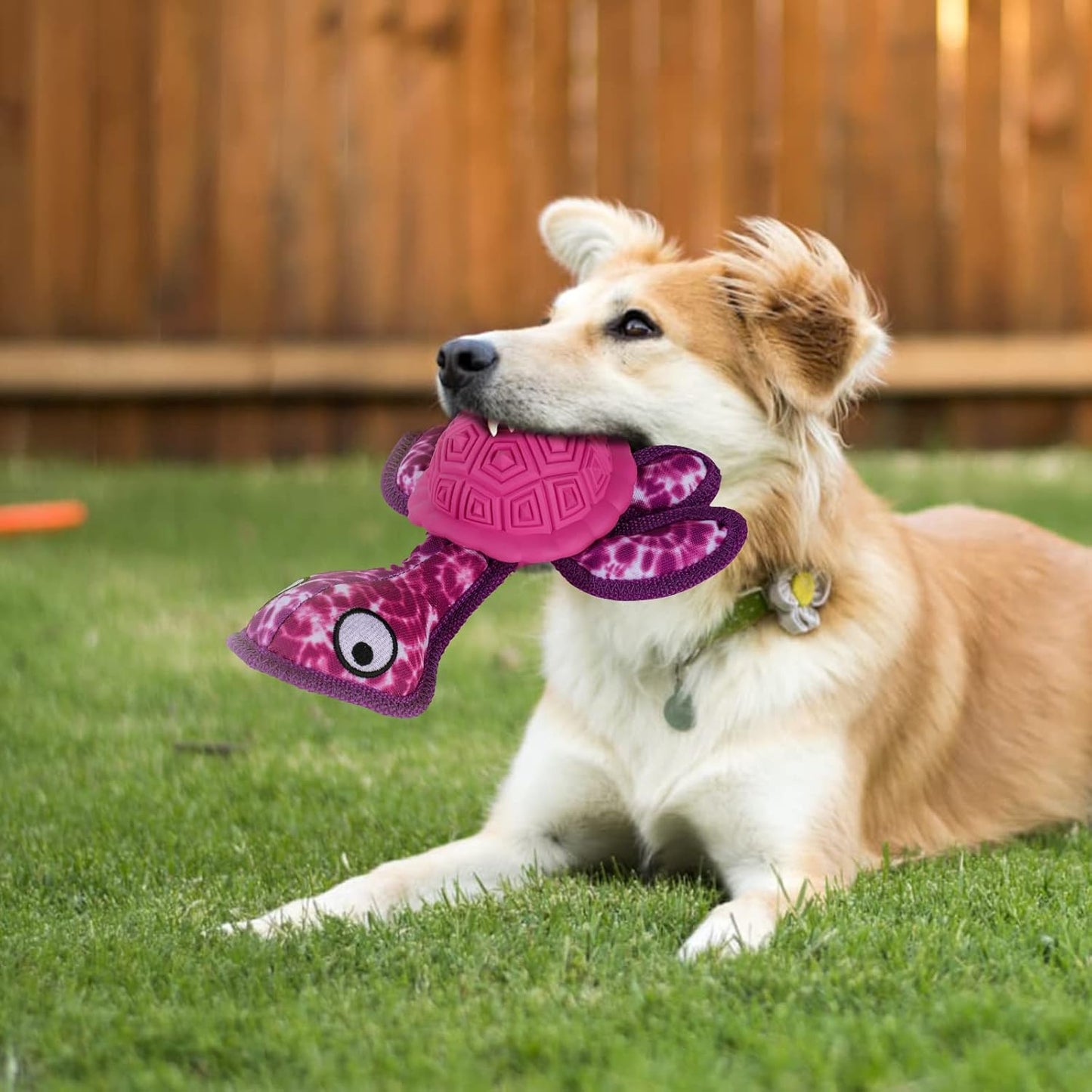 Dog Chew Toys,Puppy Teeth Chew Toys Durable Rubber Material Turtle Shape Dog Toys with 2 Tennis Ball (Red)