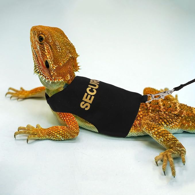 Hypeety Bearded Dragon Harness and Leash Set Adjustable Escape Proof Leash Outdoor Walking Training Leash and Harness for Bearded Dragon Lizard Reptiles Small Pets Black (Security)