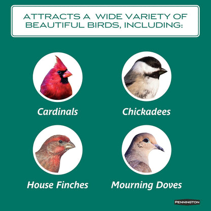 Pennington Select Safflower Seed 15 lb Bag