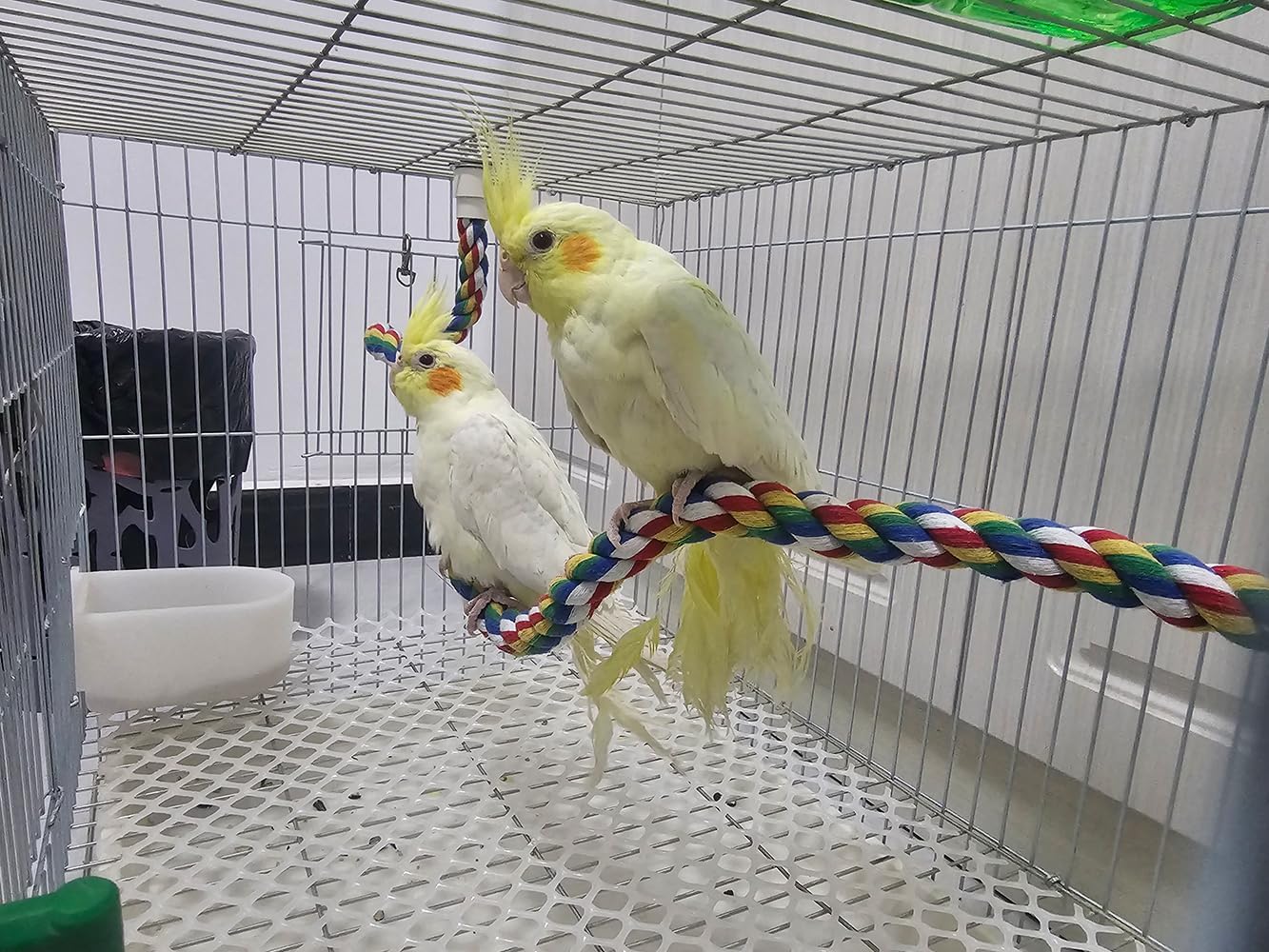 Bendable Fun Climbing Bird Cotton Rope Perch, Colorful Bungee Toy for Parrot, Bird Cage Accessories (31.5'' Metal Nut)