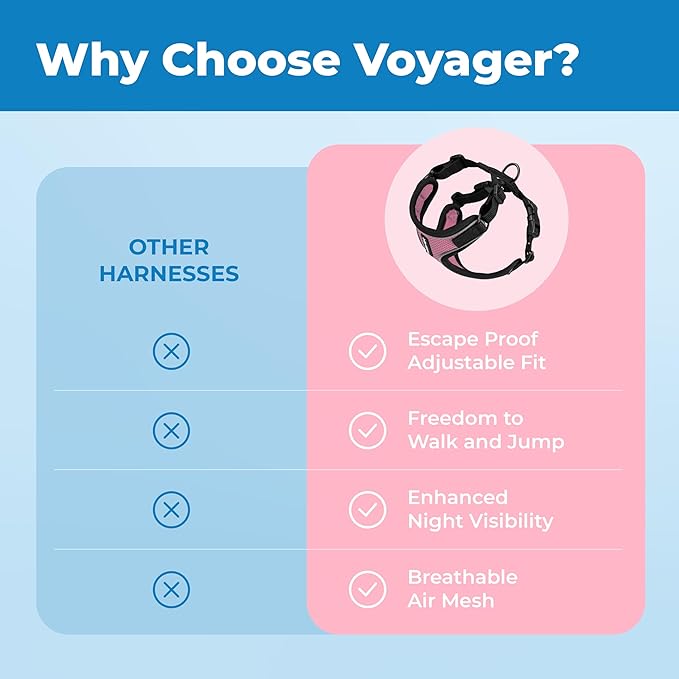 Voyager Escape Proof Cat Harness and Leash Set with Reflective Stitching, Neoprene Handle 5ft - Supports Small, Medium and Large Cats, Kittens for Walking by Best Pet Supplies - Black Trim-Pink, XXXS