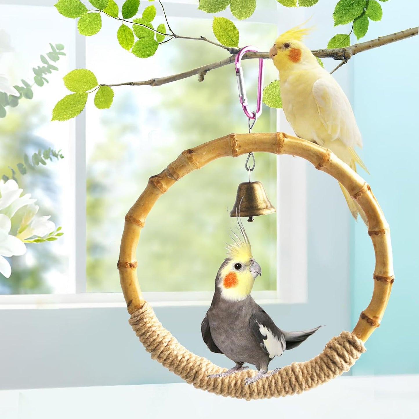 Bamboo Ring Bird Swing Perch,Large Circle Cage Hanging Toys,Bird Perch Climbing Toy Steady Natural Birds Hemp Rope Swings for Budgie,Cockatiels,Conures,Finches,Small Parakeets