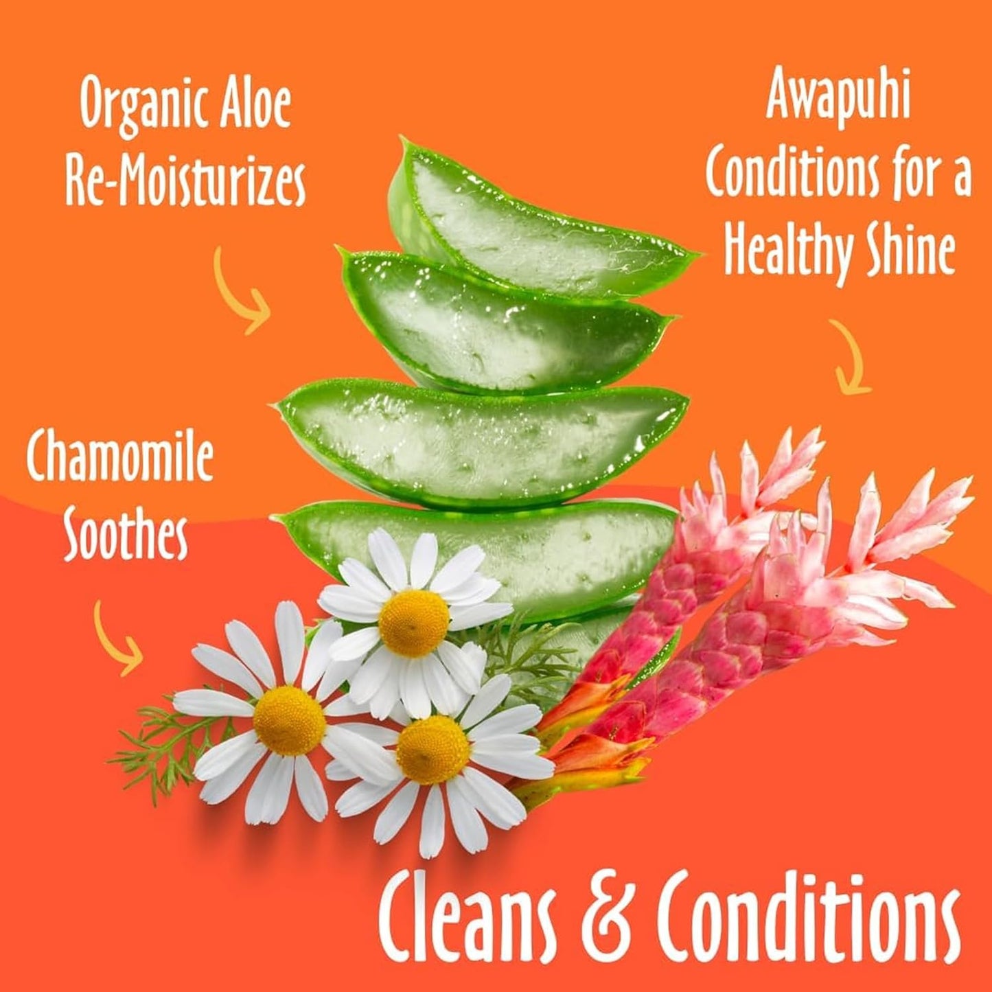 earthbath, Mango Tango Grooming Wipes - Dog Wipes for Paws and Butt, Best Pet Wipes for Dogs & Cats, Made in USA, Cruelty-Free Dog Cleaning Wipes, Removes Dirt & Dander - 100 Count (2 Pack)