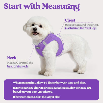 rabbitgoo Dog Harness Small Sized and Leash Set, Step in Soft Light Puppy Vest, Breathable Mesh Pet Harness, Reflective for Safe Outdoor Walking, Purple XS
