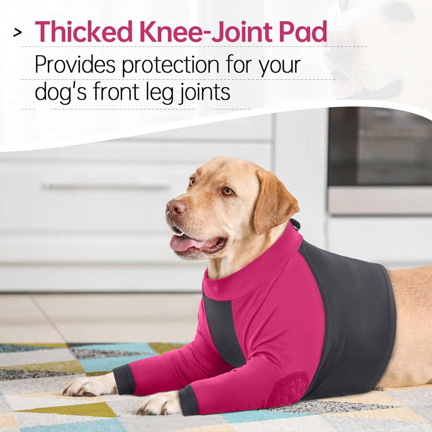 LeLePet Dog Recovery Suit for Front Legs, Dog Sleeve to Stop Licking, Elbow Protector for Leg Injuries Shoulder Wounds After Surgery Male Female,Zippered Long-Sleeved Shirt Cone Alternative(S-3XL)