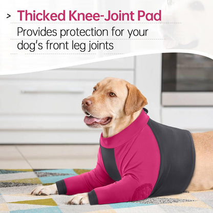 LeLePet Dog Recovery Suit for Front Legs, Dog Sleeve to Stop Licking, Elbow Protector for Leg Injuries Shoulder Wounds After Surgery Male Female,Zippered Long-Sleeved Shirt Cone Alternative(S-3XL)