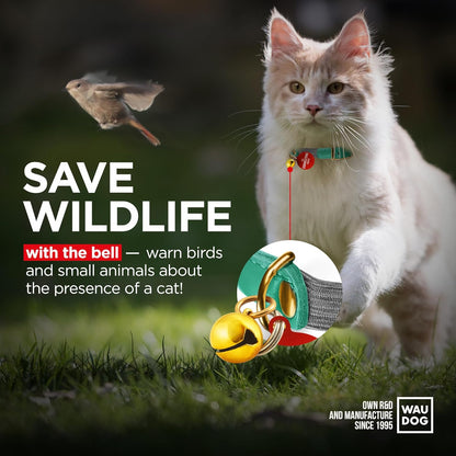 WAUDOG Ultra Soft Rolled Leather Cat Collar with Removable Bell, Safety Elastic Strap and QR ID Tag - Soft Padded for Small, Medium, and Large Cats - Round Kitten Collar for Male and Female Cats