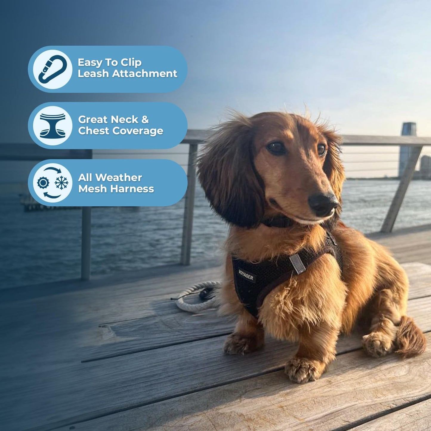 Best Pet Supplies Voyager Step-in Air Harness - All Weather Mesh, Reflective, No Pull Harness for Dogs, Cats - Secure with Hook & Loop Fastener, Buckle, Double D-Rings - Black, XS