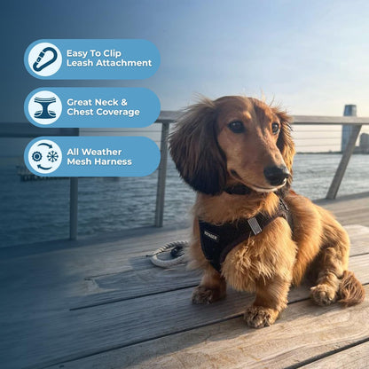 Voyager Step-In Air Dog Harness by Best Pet Supplies - All Weather Mesh Step in Vest Harness for Small and Medium Dogs, Black, size XL - Chest: 20.5 - 23"