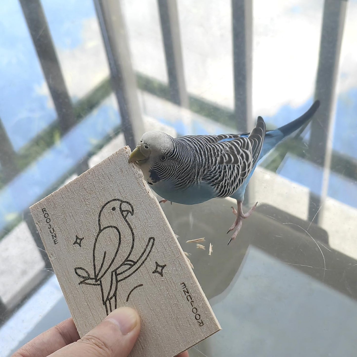 Bird Toys Chew Toys 100% Natural - 10 Pack Balsa Wood Chips, The Softest Wood in The World - Bird Cage Accessories for Small Medium Birds Parakeets Parrots Conures Cockatiels Finches Lovebirds