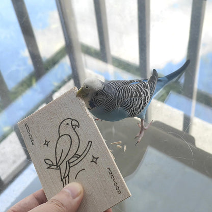 Bird Toys Chew Toys 100% Natural - 10 Pack Balsa Wood Chips, The Softest Wood in The World - Bird Cage Accessories for Small Medium Birds Parakeets Parrots Conures Cockatiels Finches Lovebirds