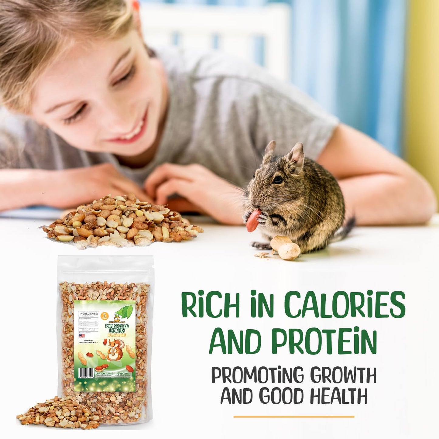 Premium Quality Raw Out of Shell Peanuts - 2 Pounds - Shelled Peanuts for Birds – Wildlife Quality - Food for Squirrels, Deer, Birds, and Other Wildlife Animals – Grown in The USA