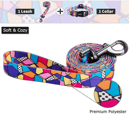 Ihoming Dog Collar and Leash Set for Daily Outdoor Walking Running Training, Geometric Design for Large Boys Girls Dogs Cats Pets, L-Up to 80LBS