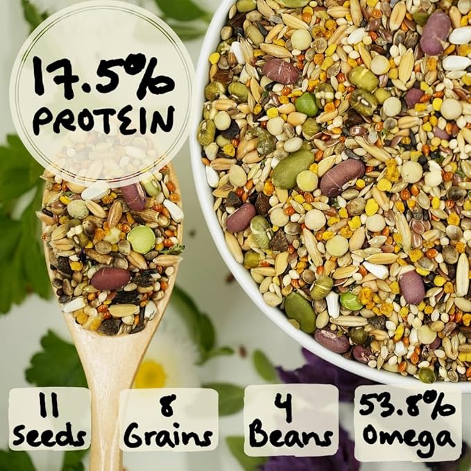 Feather Shine High Potency Blend with Bee Pollen & Freeze-Dried Sprouts - Premium Parrot Food for Molting, Breeding & Growth - Omega Rich | 17.5% Plant Protein | USA-Made