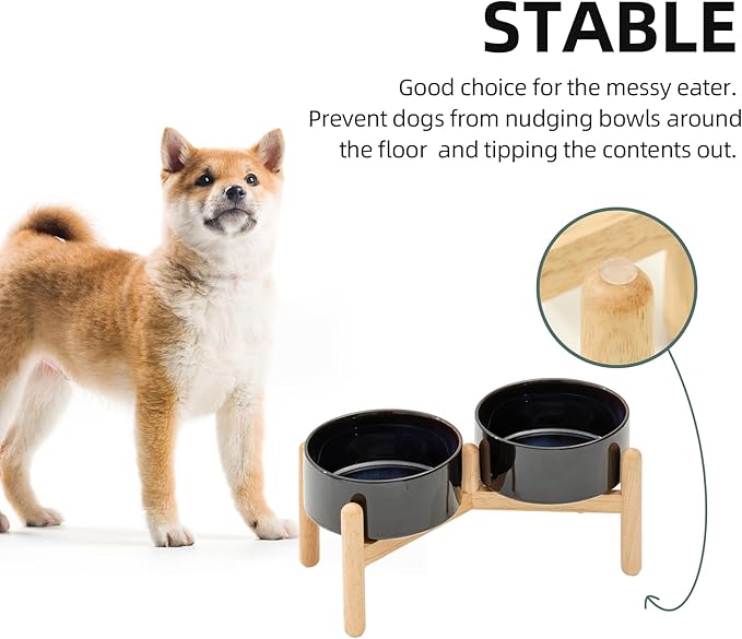 Ceramic 6.1inch Raised Dog Bowl with Stand for Small and Medium Breed Dog Dish Pet Food and Water Bowl (Double Bowl with Stand - Starry Sky, 28oz)