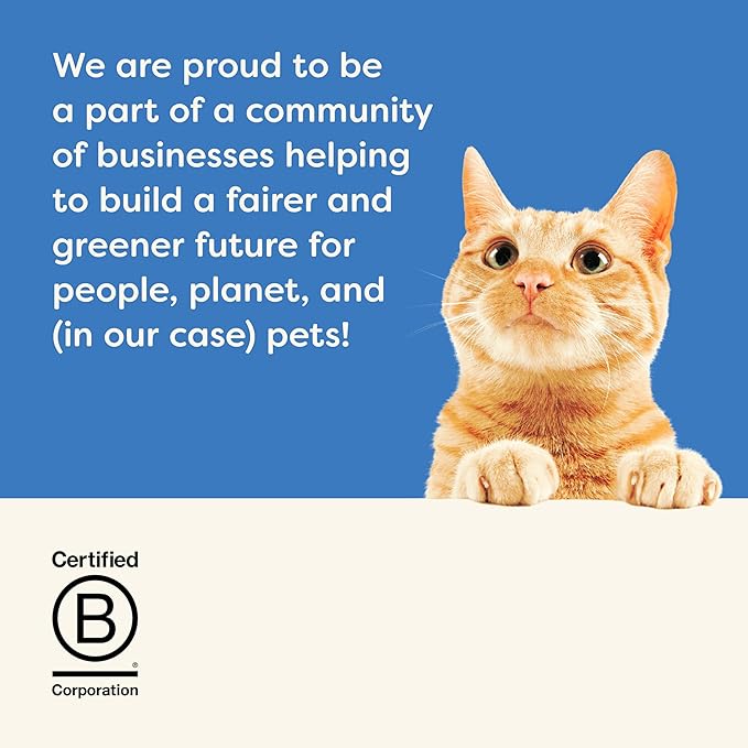 Applaws Natural Wet Canned Cat Food, Limited and Natural Ingredients, High Protein with No Artificial Additives, Fish Selection Variety Pack in Broth (12 x 2.47oz Cans)