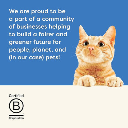 Applaws Natural Wet Canned Cat Food, Limited and Natural Ingredients, High Protein with No Artificial Additives, Fish Selection Variety Pack in Broth (12 x 2.47oz Cans)