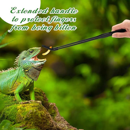 Lasnten 2 Pcs Extra Long Stainless Steel Reptile Feeding Tongs with Rubber Tip Bearded Dragon Aquarium Straight and Curved Long Tweezer Terrarium Feeder Tool for Tank(Black, 15 Inch)